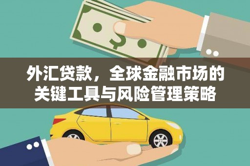 玛家外汇贷款，全球金融市场的关键工具与风险管理策略