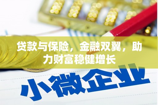 玛家贷款与保险，金融双翼，助力财富稳健增长