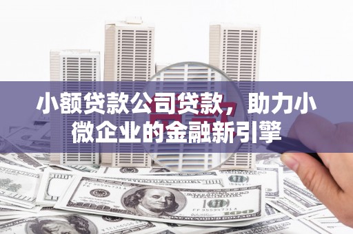 玛家小额贷款公司贷款，助力小微企业的金融新引擎
