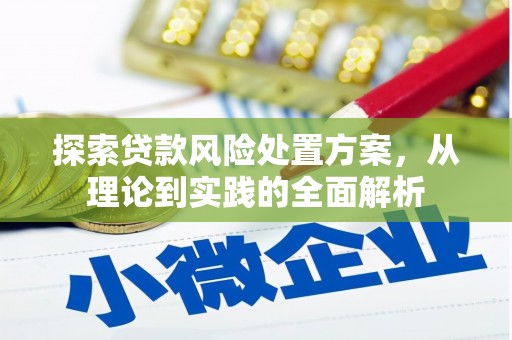玛家探索贷款风险处置方案，从理论到实践的全面解析