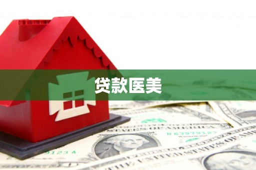 玛家贷款医美