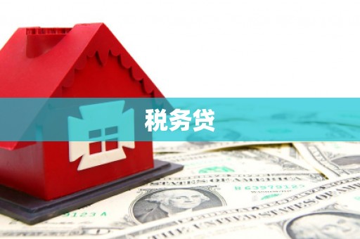玛家税务贷