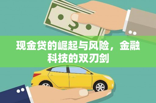 玛家现金贷的崛起与风险，金融科技的双刃剑