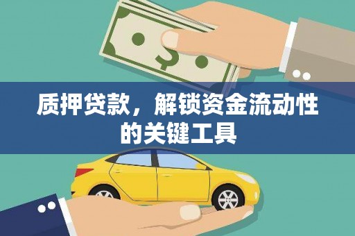 玛家质押贷款，解锁资金流动性的关键工具