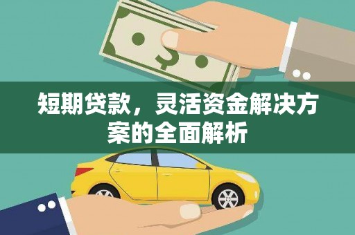 玛家短期贷款，灵活资金解决方案的全面解析