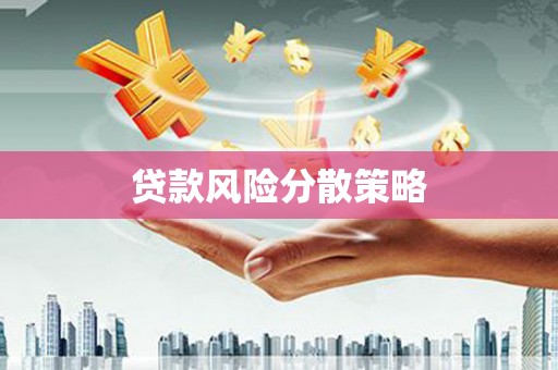 玛家贷款风险分散策略