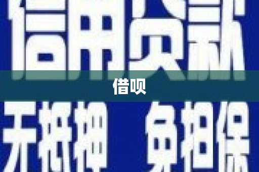 玛家借呗