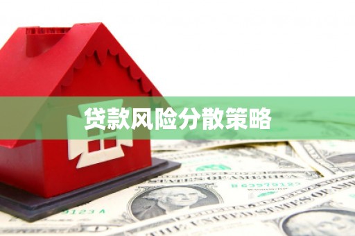 玛家贷款风险分散策略
