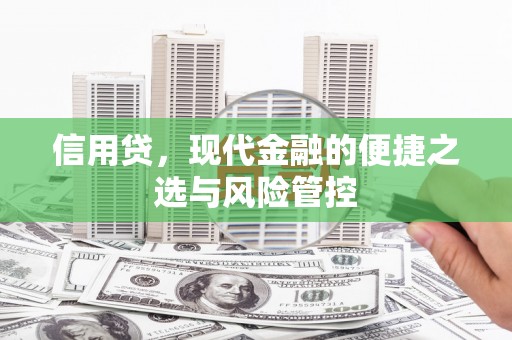 玛家信用贷，现代金融的便捷之选与风险管控
