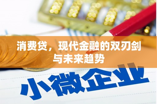玛家消费贷，现代金融的双刃剑与未来趋势