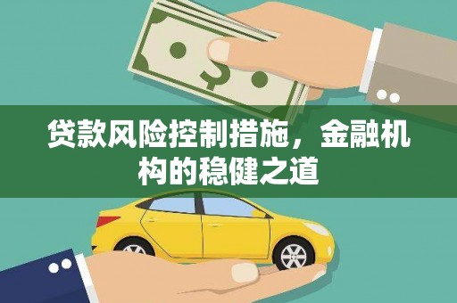 玛家贷款风险控制措施，金融机构的稳健之道