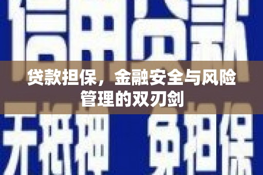 玛家贷款担保，金融安全与风险管理的双刃剑