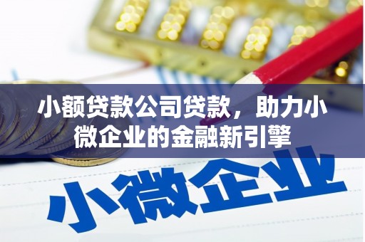 玛家小额贷款公司贷款，助力小微企业的金融新引擎