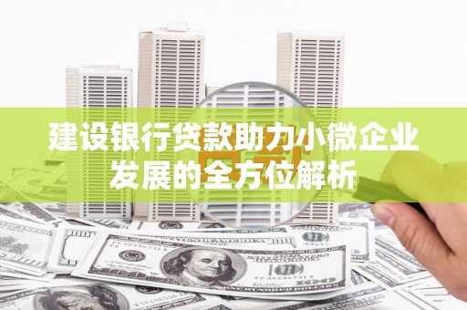 玛家建设银行贷款助力小微企业发展的全方位解析