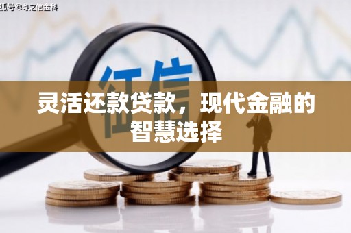 玛家灵活还款贷款，现代金融的智慧选择