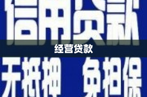 玛家经营贷款