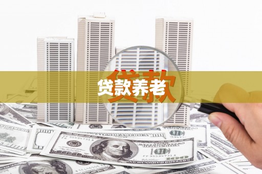玛家贷款养老