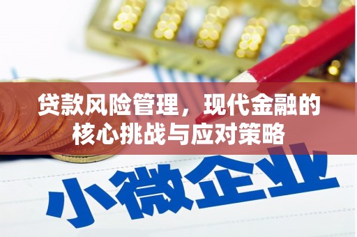 玛家贷款风险管理，现代金融的核心挑战与应对策略