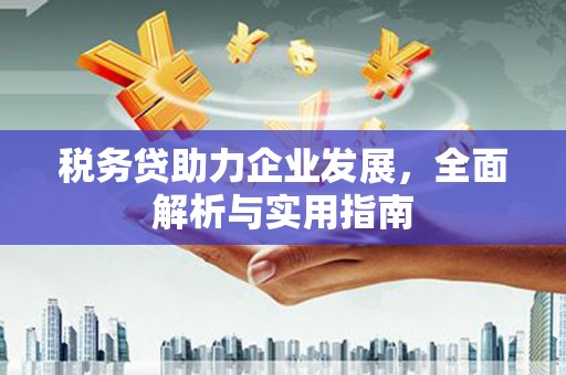 玛家税务贷助力企业发展，全面解析与实用指南