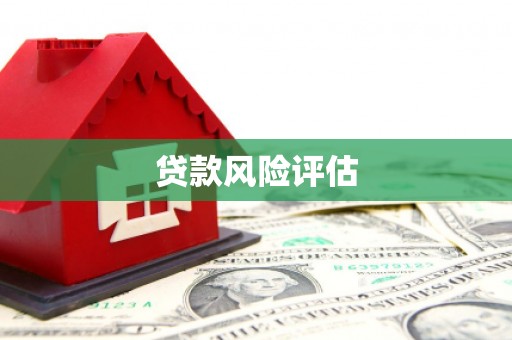 玛家贷款风险评估