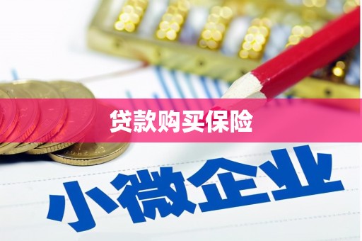 玛家贷款购买保险