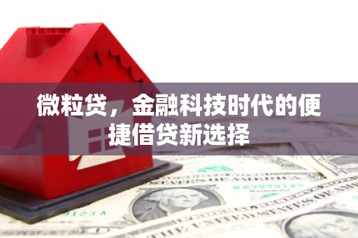 玛家微粒贷，金融科技时代的便捷借贷新选择