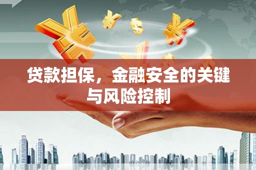 玛家贷款担保，金融安全的关键与风险控制