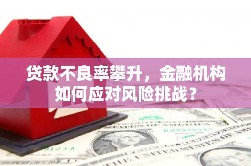 玛家贷款不良率攀升，金融机构如何应对风险挑战？
