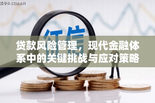 玛家贷款风险管理，现代金融体系中的关键挑战与应对策略