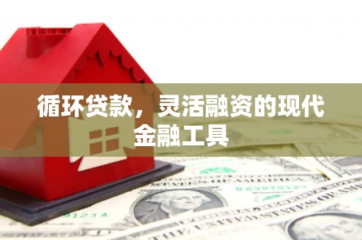 玛家循环贷款，灵活融资的现代金融工具