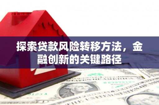 玛家探索贷款风险转移方法，金融创新的关键路径
