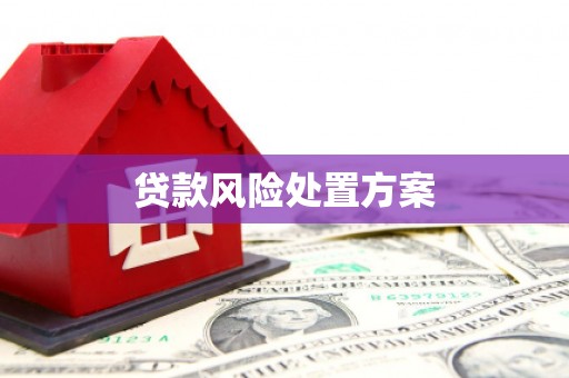玛家贷款风险处置方案