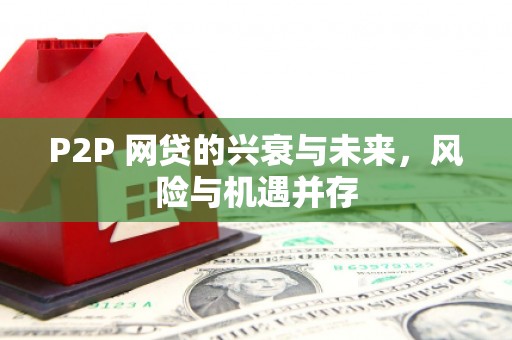 玛家P2P 网贷的兴衰与未来，风险与机遇并存