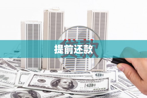 玛家提前还款