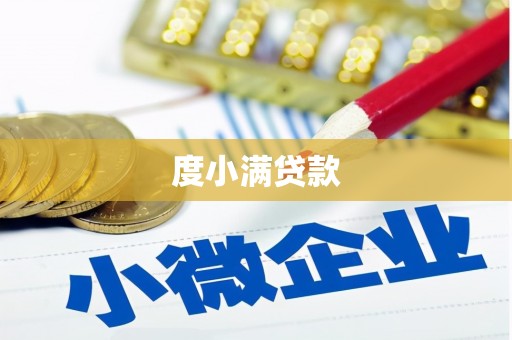 玛家度小满贷款