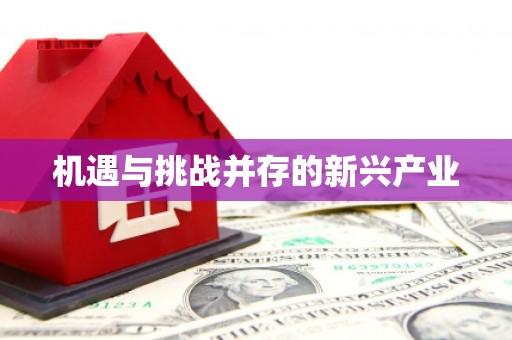 玛家机遇与挑战并存的新兴产业