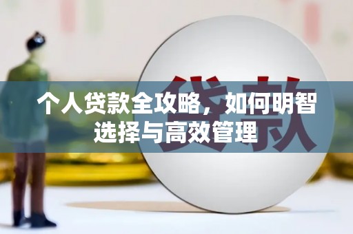 玛家个人贷款全攻略，如何明智选择与高效管理