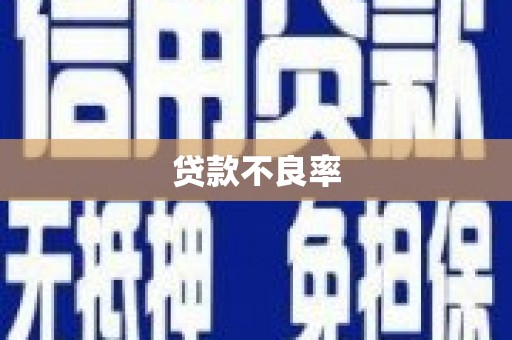 玛家贷款不良率