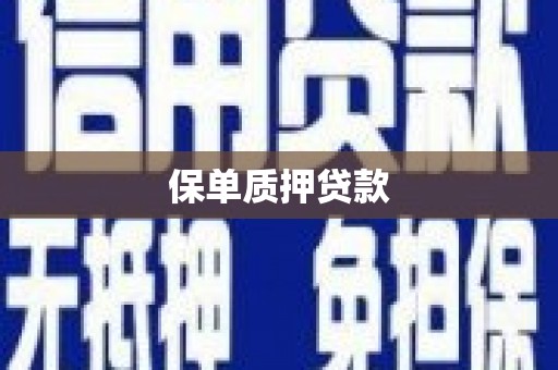 玛家保单质押贷款