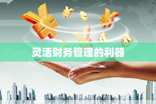 玛家灵活财务管理的利器