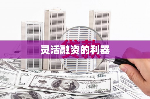 玛家灵活融资的利器
