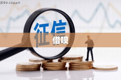 玛家借呗