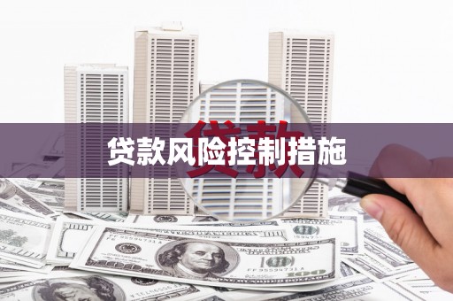 玛家贷款风险控制措施