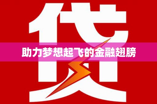 玛家助力梦想起飞的金融翅膀