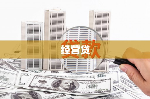 玛家经营贷