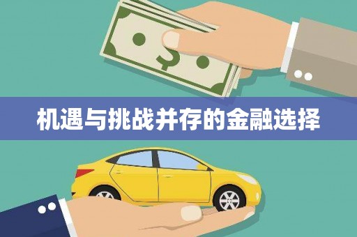 玛家机遇与挑战并存的金融选择