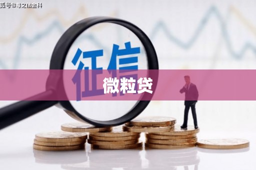 玛家微粒贷