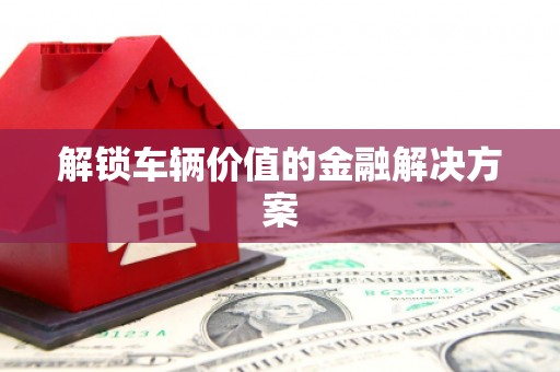 玛家解锁车辆价值的金融解决方案