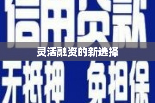 玛家灵活融资的新选择