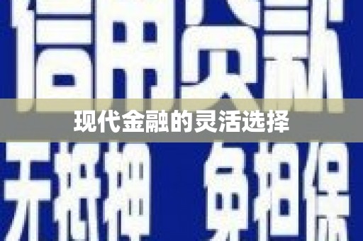 玛家现代金融的灵活选择